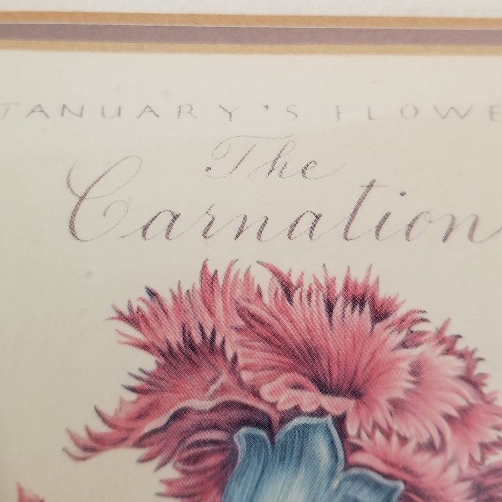 Vintage Gold Frame Carnation January's Flower: Timeless Botanical Elegance 1995 - Picture 9 of 12